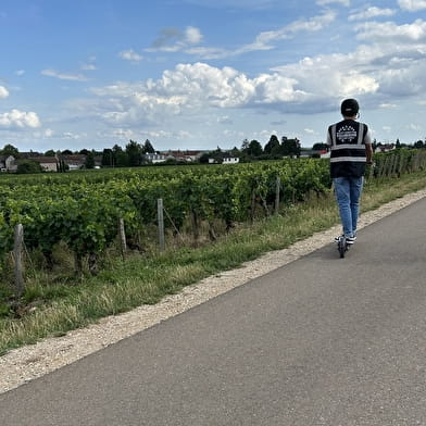 Balade commentée en trottinette électrique au milieu des Grands Crus