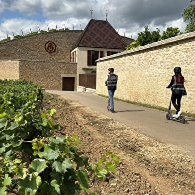 Balade commentée en trottinette électrique au milieu des Grands Crus