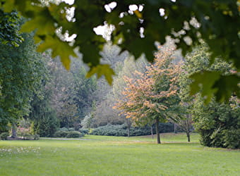 Parc du Moulin à Tan et Serres de Collections Tropicales - SENS