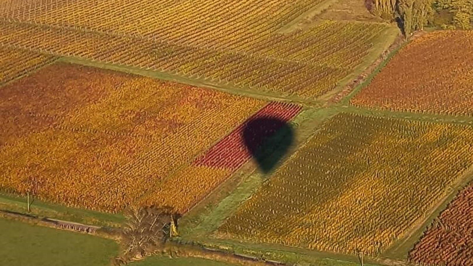 Montgolfière Rully en Bourgogne