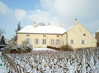 Domaine de la Monette - MERCUREY
