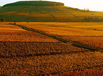 Ermitage de Corton - CHOREY-LES-BEAUNE