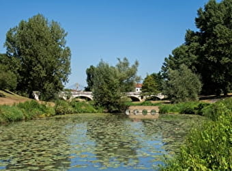 CHALON-SUR-SAONE - CHALON-SUR-SAONE