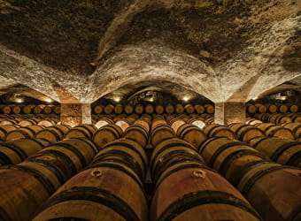 Château de Meursault - MEURSAULT