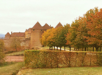 Forteresse de Berzé - BERZE-LE-CHATEL