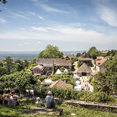 Château de Brancion