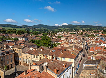 Visite classique de la Cité-Abbaye de Cluny - CLUNY