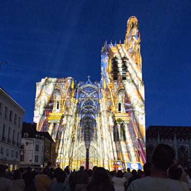 Cathédrale Saint-Etienne